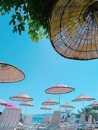 Junior Beach